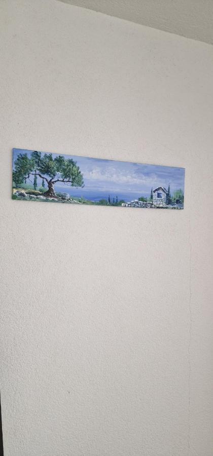 Apartments Stipe ロゴズニッツァ エクステリア 写真